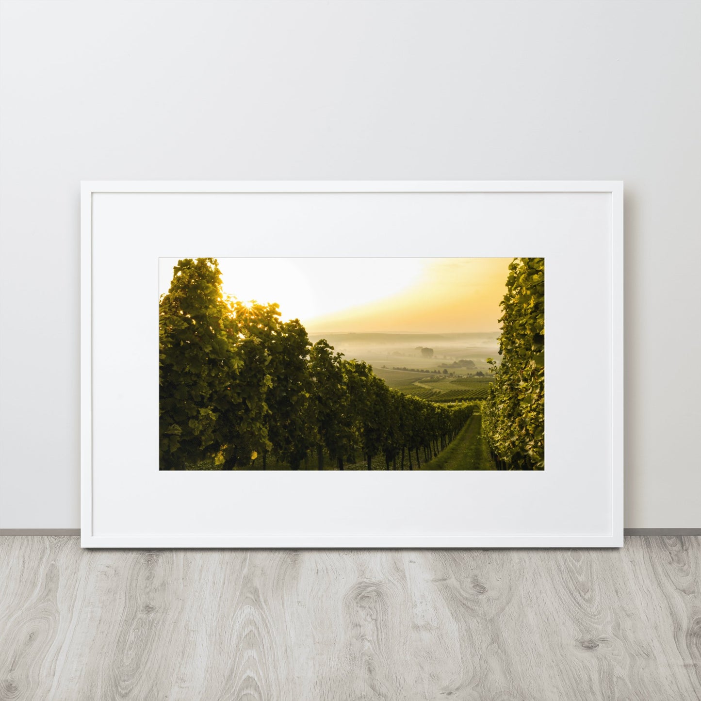 Colinas de La Rioja - Marko