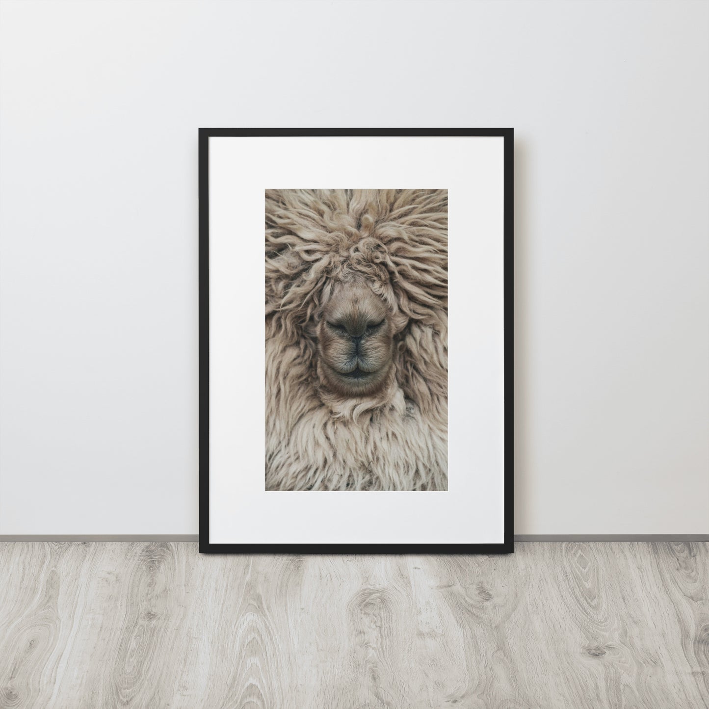 La Llama