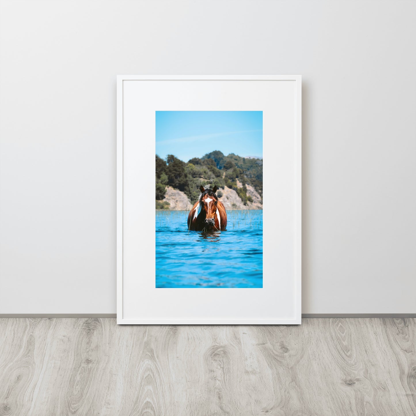 Caballo Patagónico
