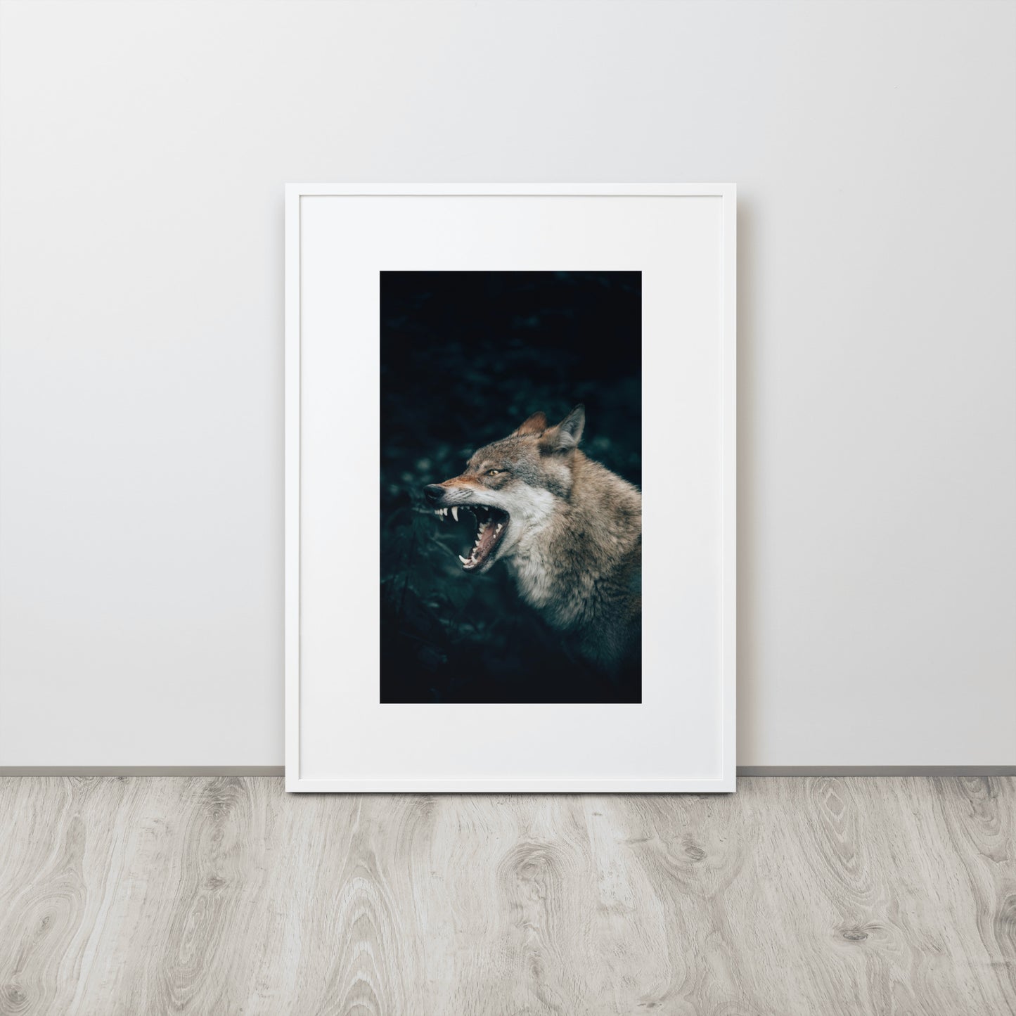 Lobo