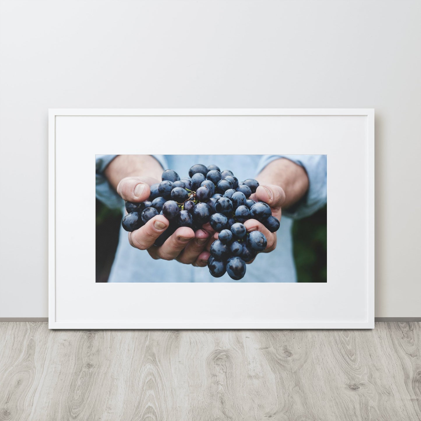 Racimo de Malbec - Marko