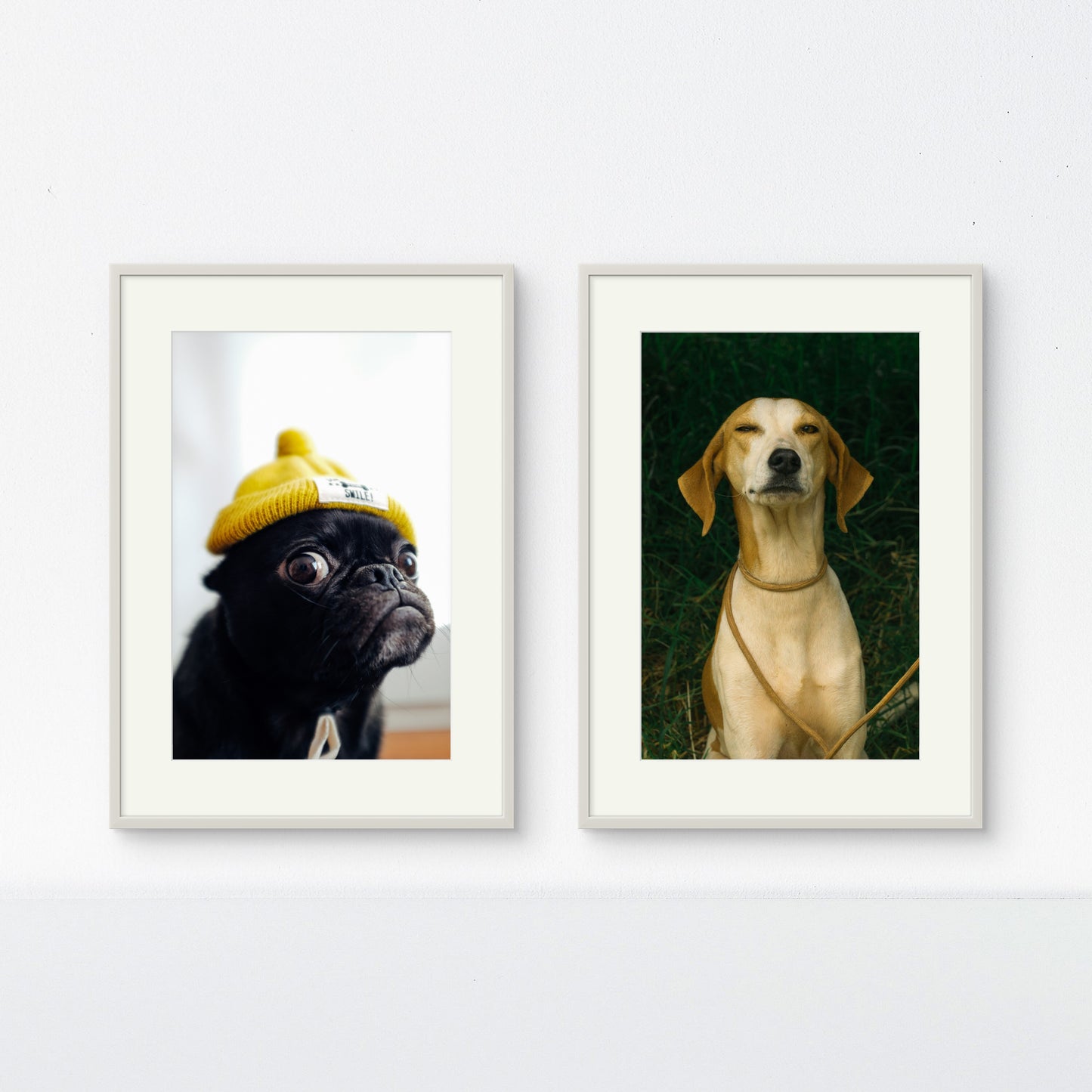 Dúo good boys