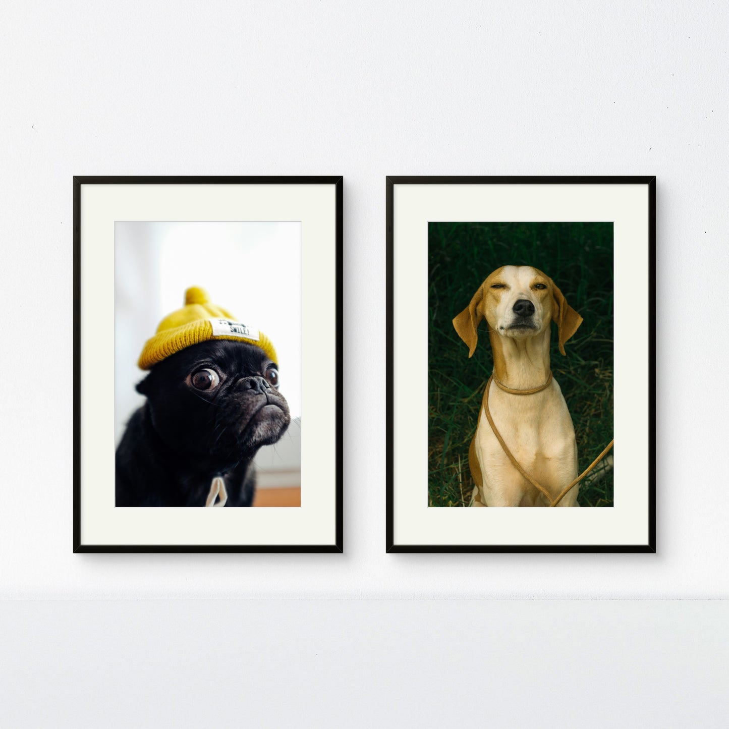 Dúo good boys