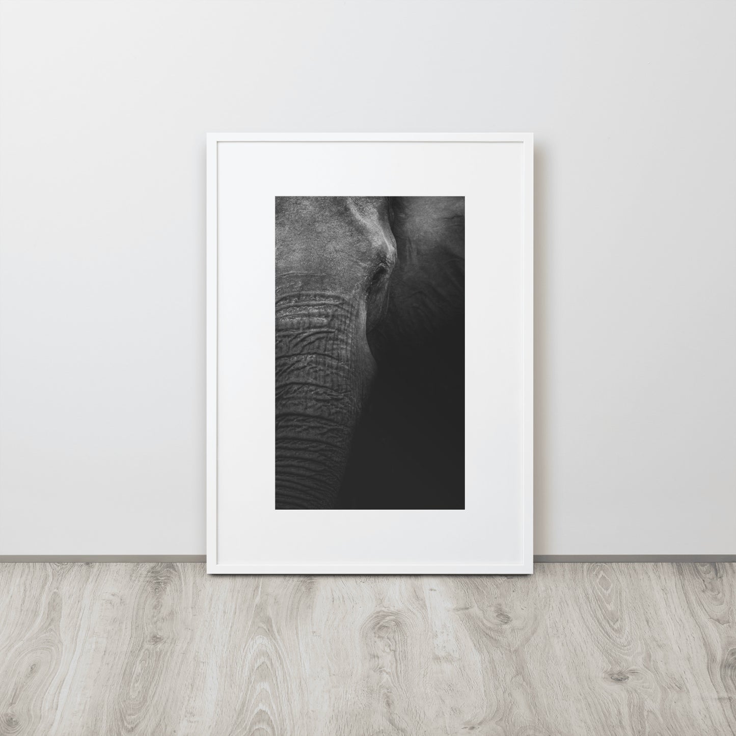 Elefante II